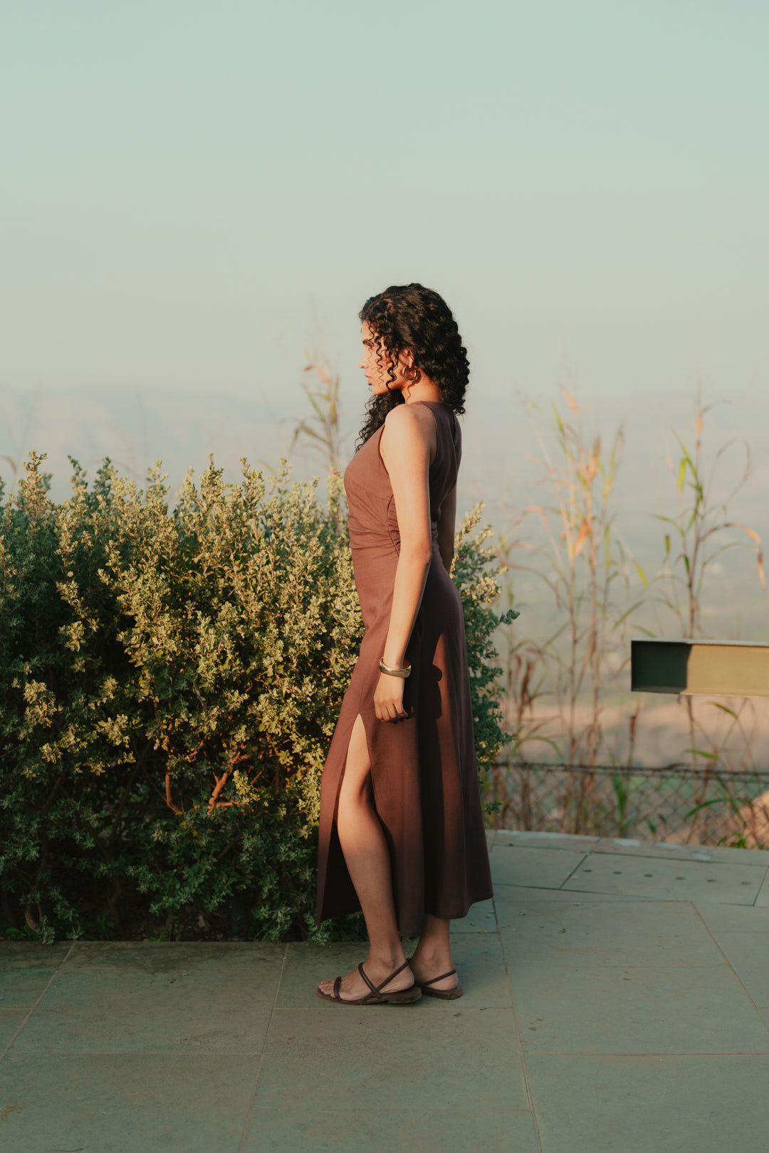 Brown Lorelai Dress