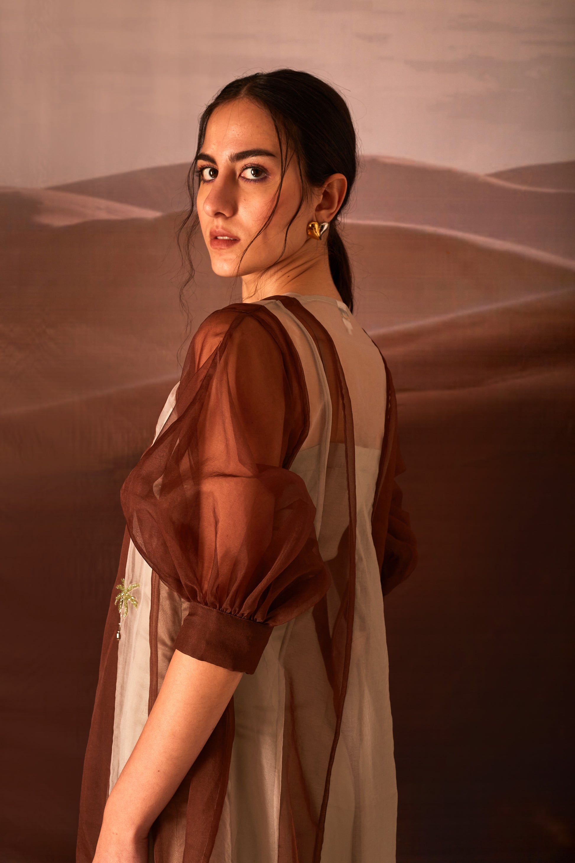 brown embroidered clover dress back