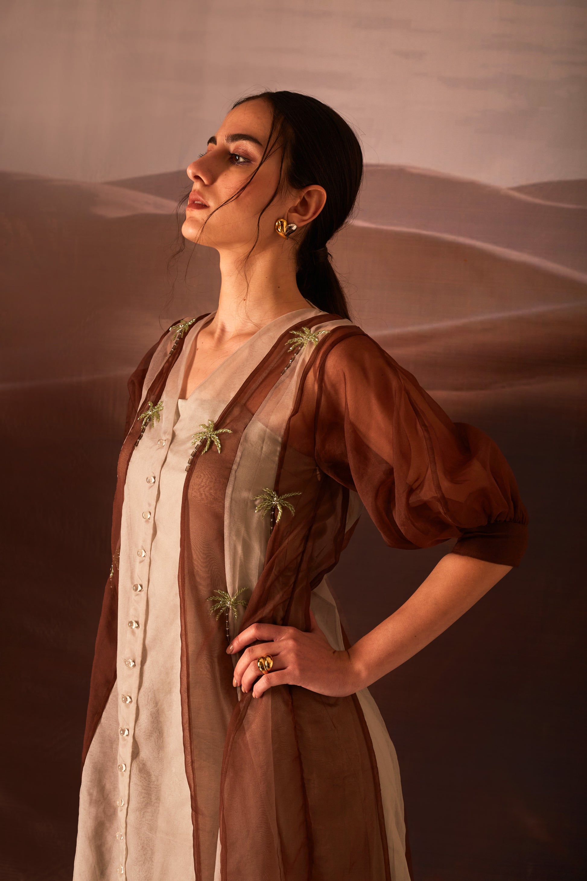 brown embroidered clover dress half